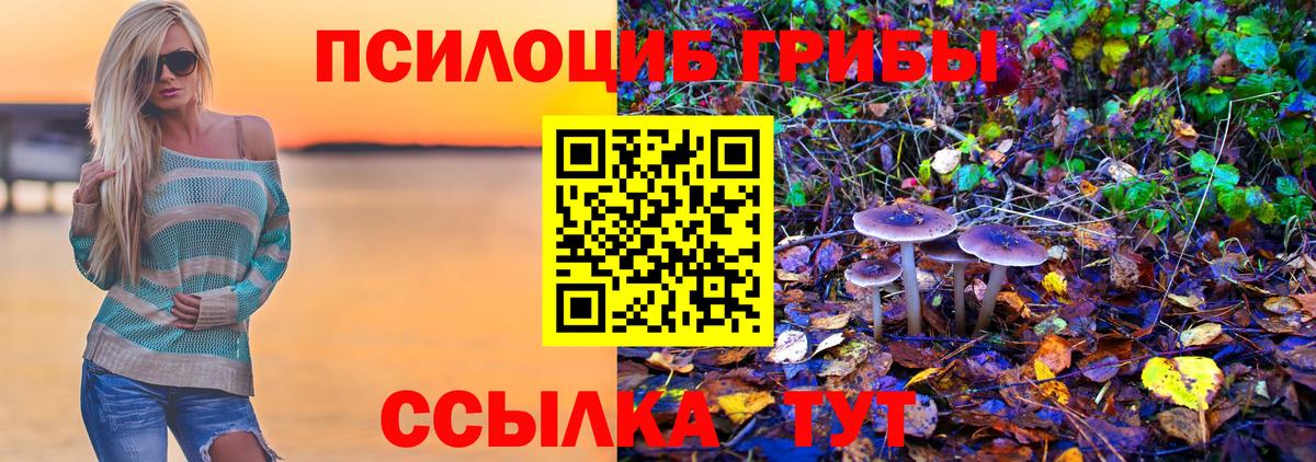 Псилоцибиновые грибы мицелий  Галлюциногенные грибы Psilocybe  Вход с VPN  Избербаш 